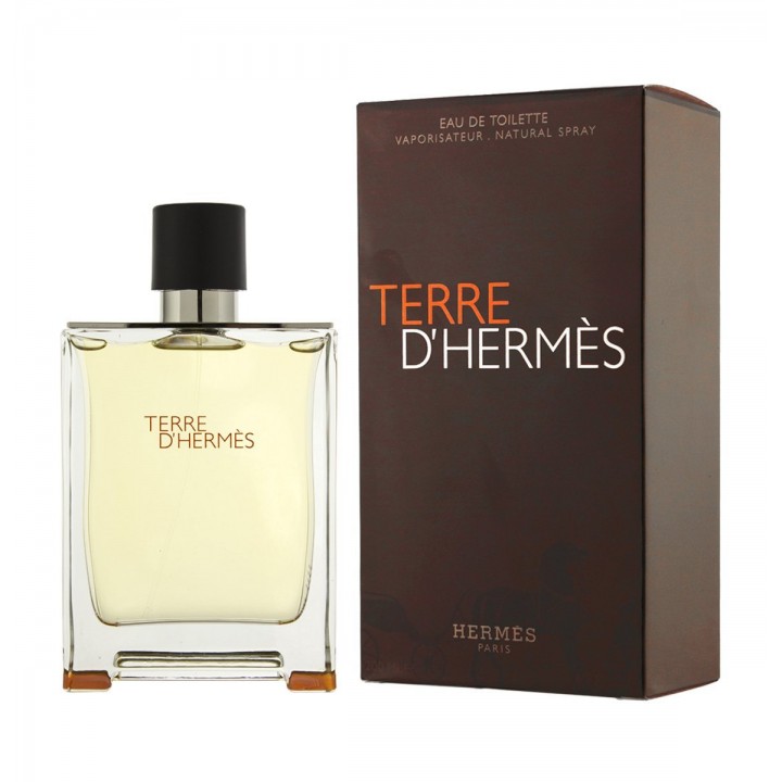 Hermes Terre D'Hermes M edt 100 ml